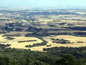 Camino Aragones in Spanien (Jakobsweg Camino de Santiago)