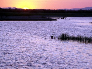 Nationalpark Tablas de Daimiel