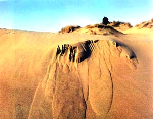 Naturschutzgebiet Dunas de Liencres