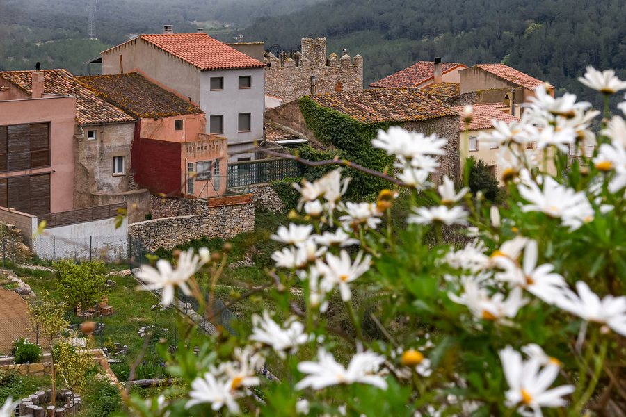 File:Colldejou (52002741232).jpg