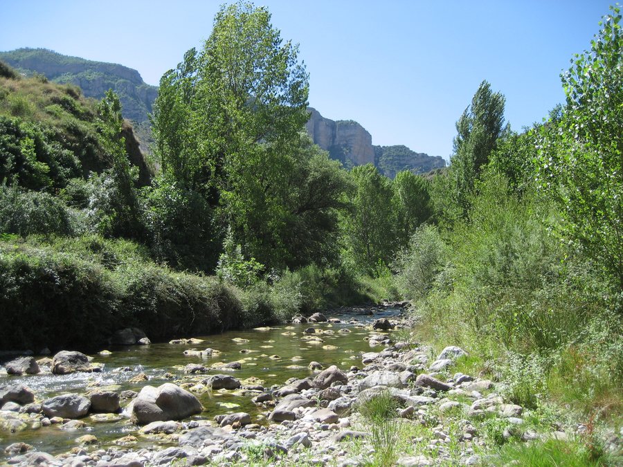 File:Leza de Río Leza, 26132, La Rioja, Spain - panoramio.jpg