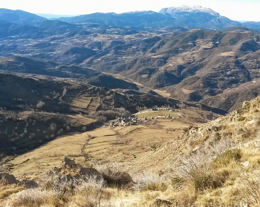 File:Castanesa.jpg