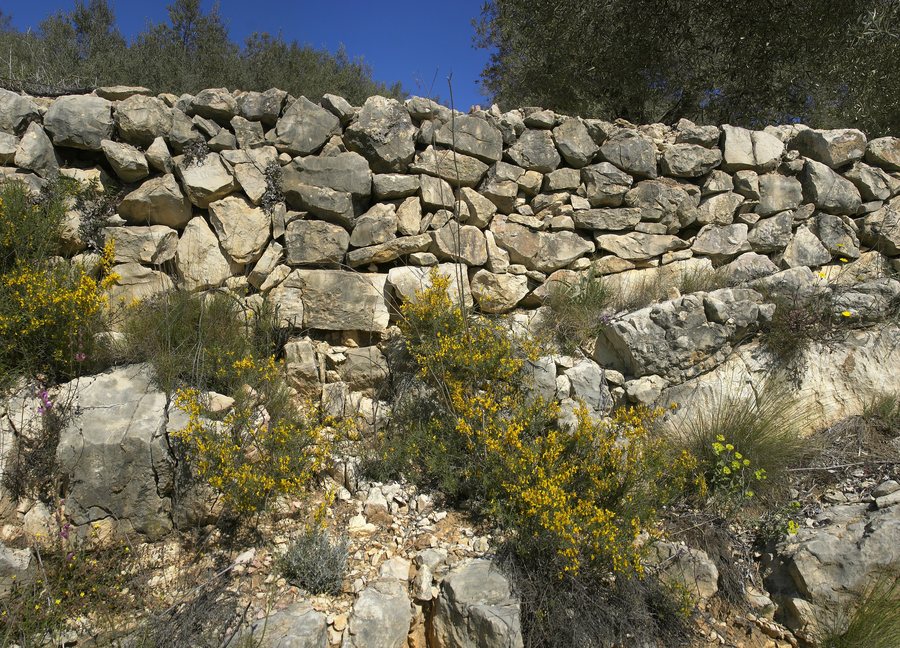 File:El Perelló - Wall.jpg