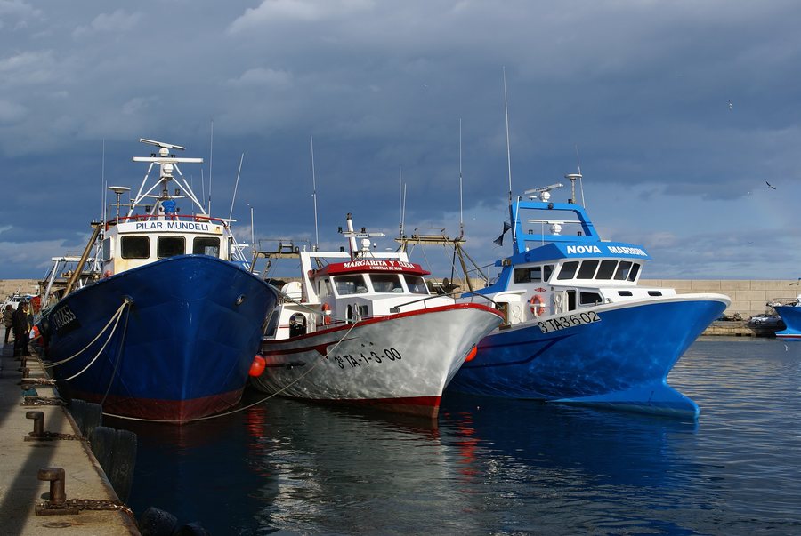 File:L'Ametlla de Mar.jpg