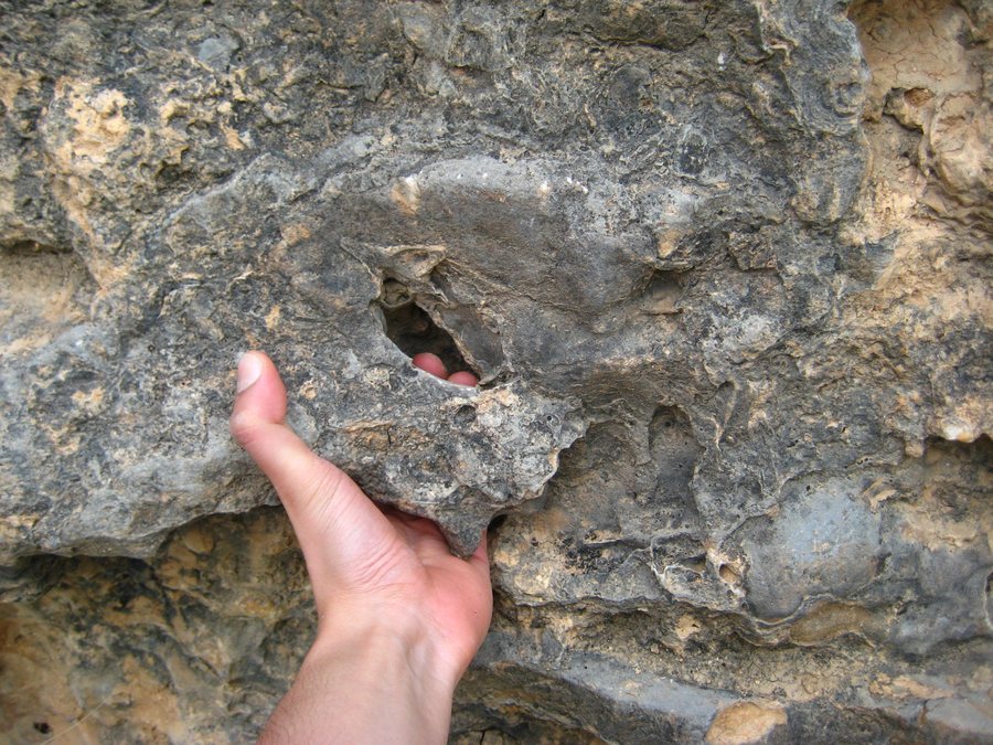 File:Margalef rock climbing.jpg
