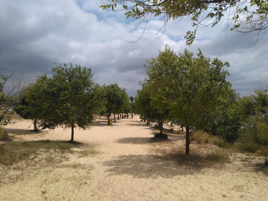 File:El Santiscal - IMG 20190504 154054 967.jpg