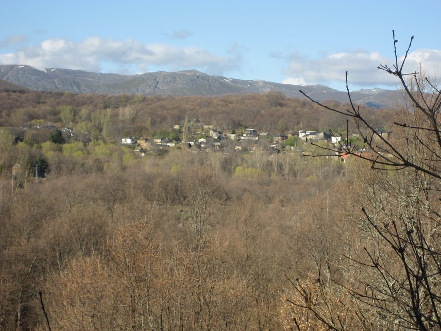 File:Pedrazales desde el monte Aberneo de Galende.jpg