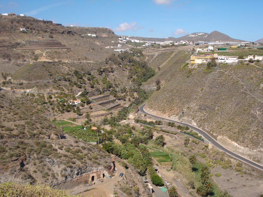 File:Palmeral de Cabo Verde - panoramio.jpg