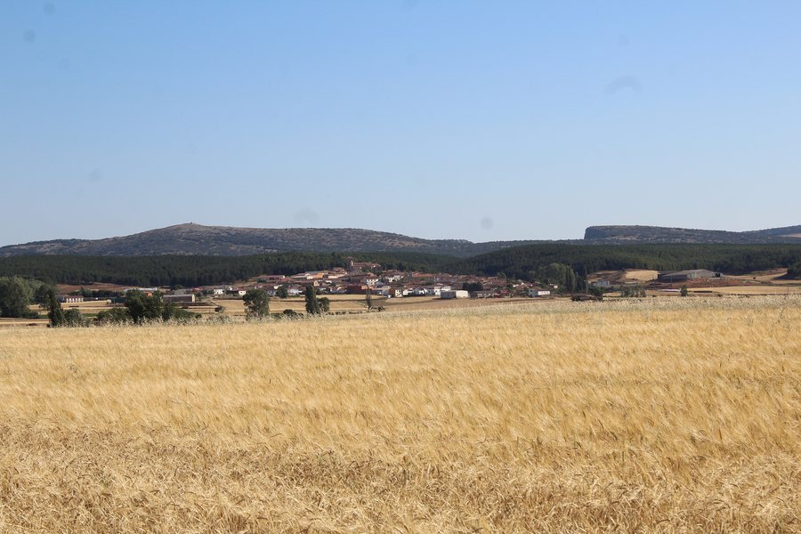 File:Prádanos de Ojeda en verano.jpg