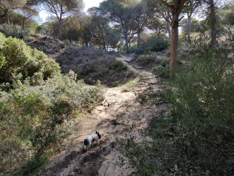 File:La Breña-IMG 20220213 122634.jpg