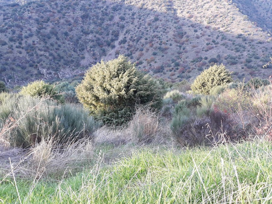 File:20201124 164210 Cachón del Camaces, Hinojosa de Duero.jpg
