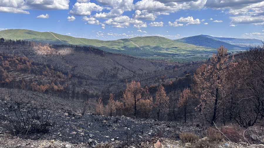 File:Incendio en Pinofranqueado.jpg