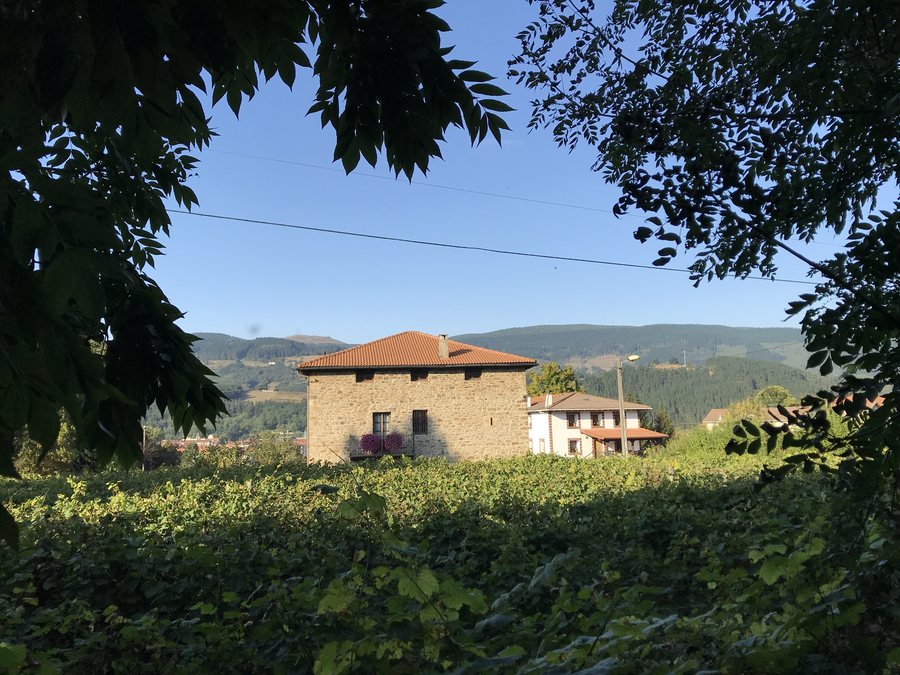 File:Llantada Dorrea eta mahastiak.jpg