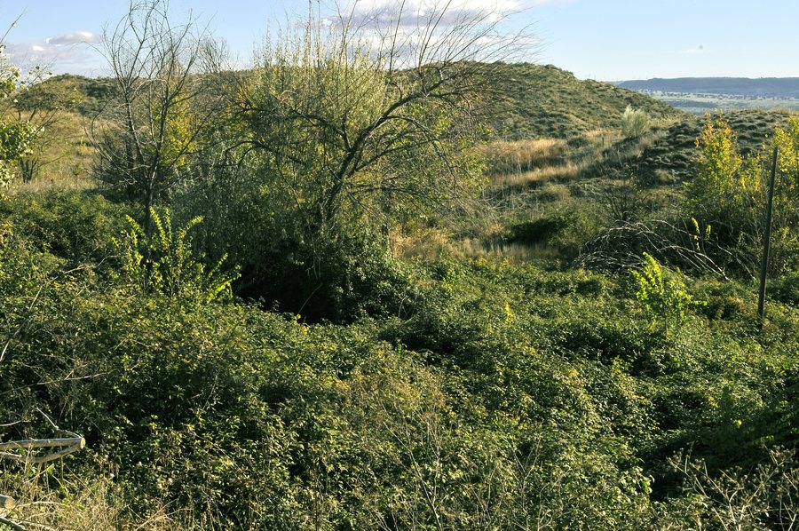 File:Rivas-Vaciamadrid 2021 01.jpg