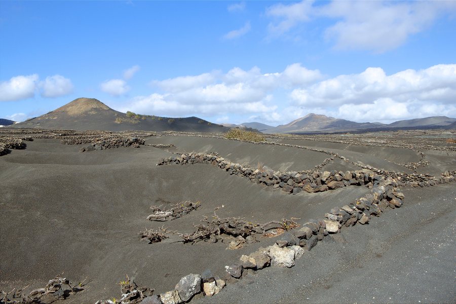 File:Vineyards - Tinajo - Lanzarote.JPG