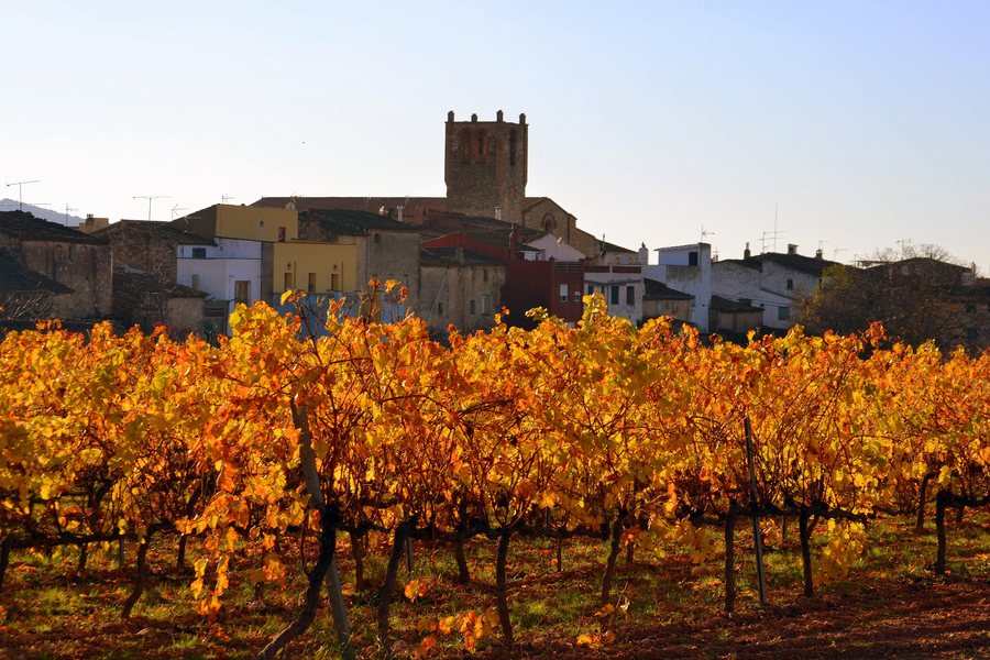 File:Esglèsia de Santa Maria de les Pobles (Aiguamúrcia) - 1.jpg