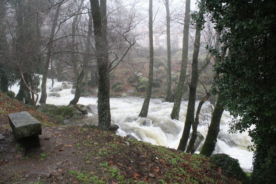 File:Piedralaves, curso fluvial.jpg