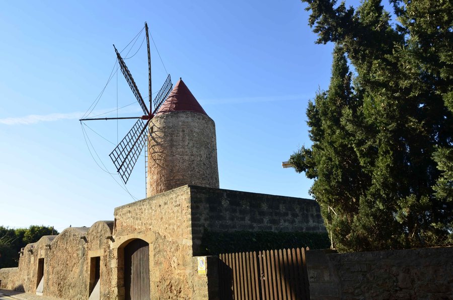 Moli Algaida