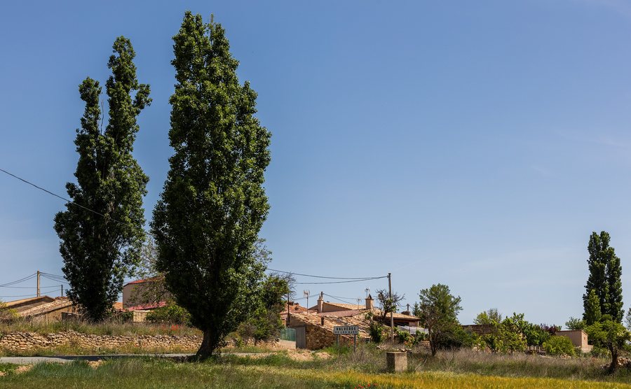 File:Valverde de los Ajos, Soria, España, 2017-05-26, DD 48.jpg