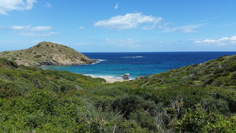 File:Playa Sa Mesquida.Mahón.Menorca.jpg