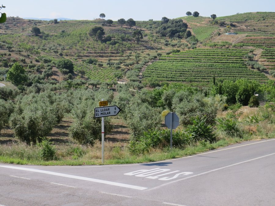 File:Gratallops, 43737, Tarragona, Spain - panoramio (1).jpg