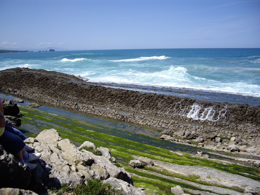 File:Rasa litoral en Liencres.JPG