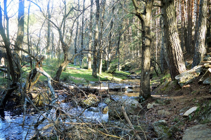 File:Robledo de Chavela, Madrid, Spain - panoramio.jpg