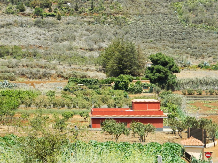 File:Vega de San Mateo, Las Palmas, Spain - panoramio.jpg