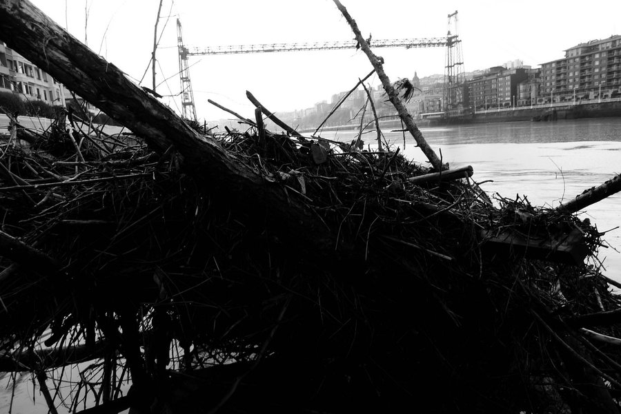 File:Flotsam collects near the 