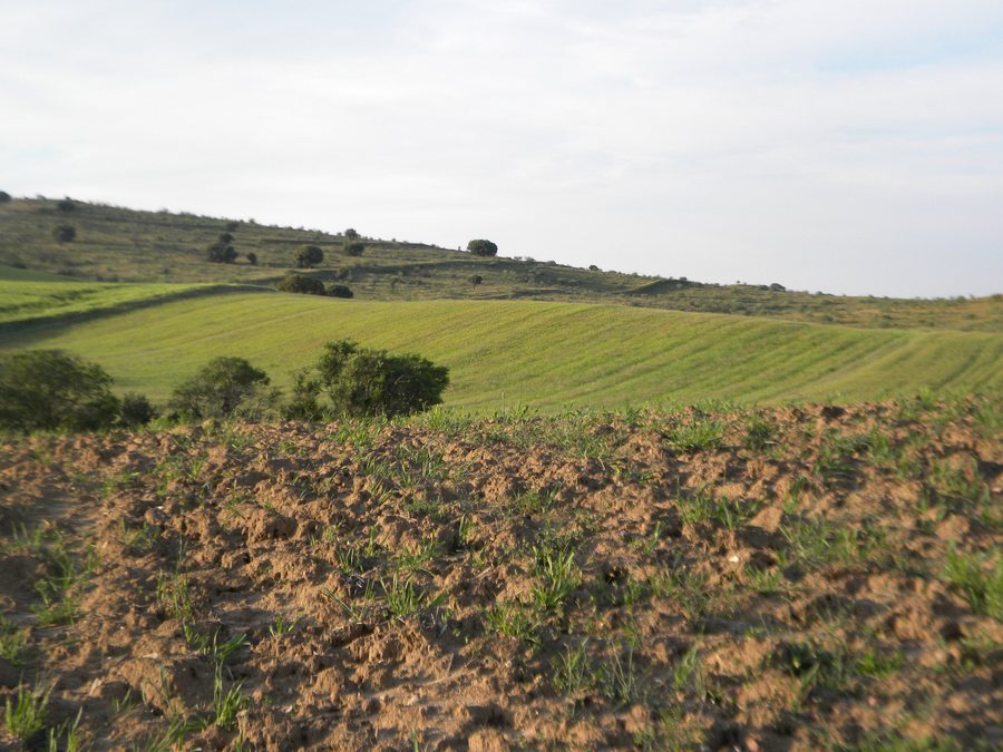 File:Monte de Valdeolmos.jpg