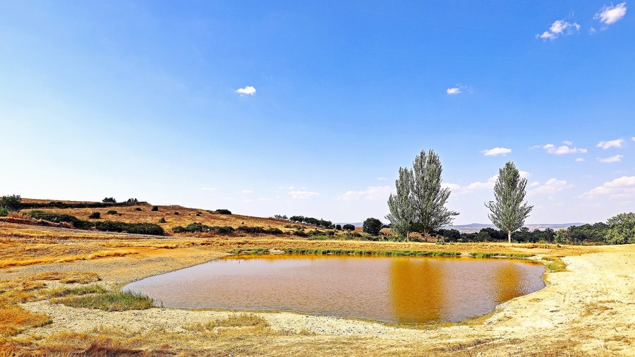 File:Lagunilla en Navarredonda de la Rinconada.jpg