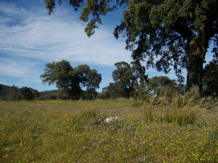 File:Aldea del Fresno (Madrid) (3076403225).jpg
