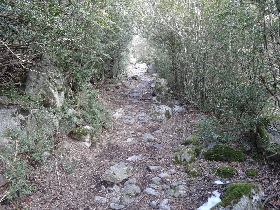 File:Queralbs, 17534, Province of Girona, Spain - panoramio (1).jpg