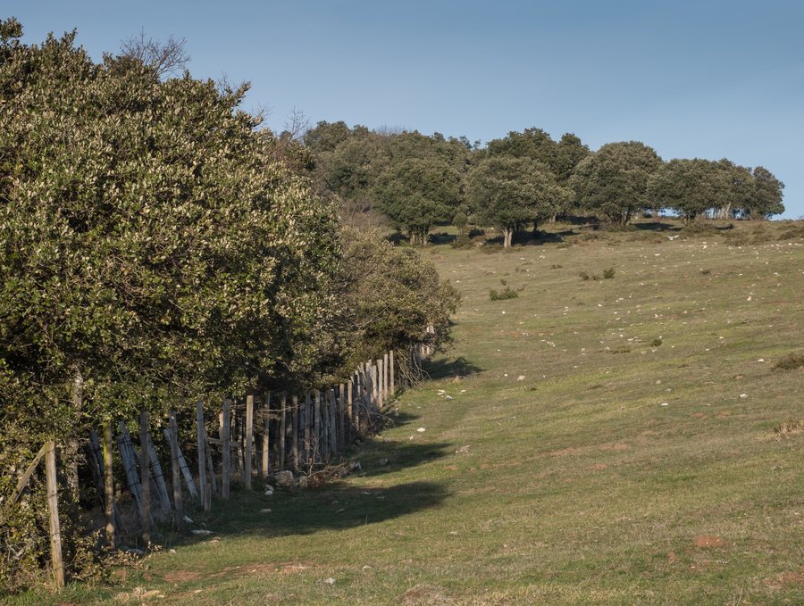 File:Rosteta-Areatza 01.jpg