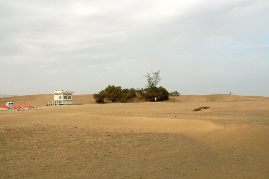 File:Dunas de Maspalomas (10 de agosto de 2015, San Bartolomé de Tirajana) 04.JPG