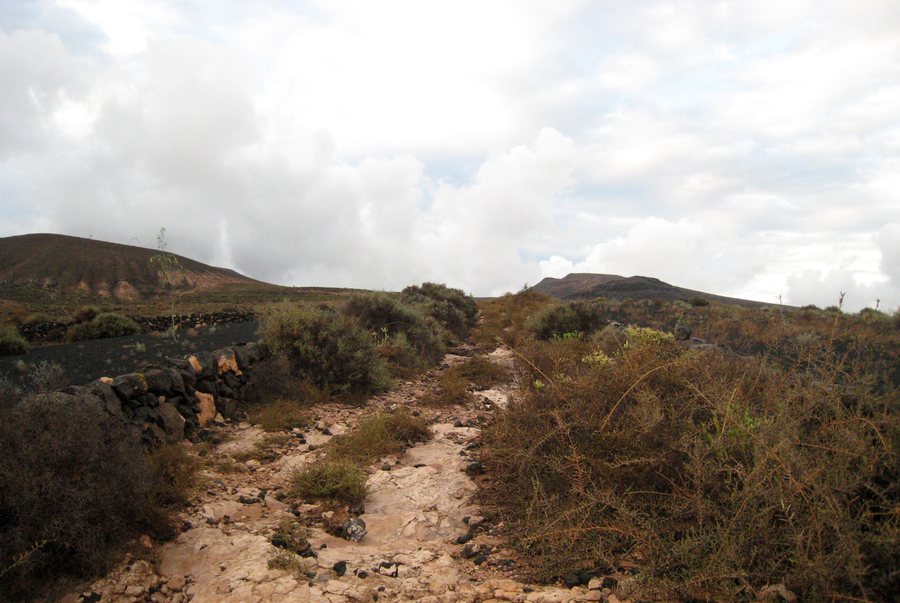 File:Lanzarote. Trail near the Guatiza - El Mojón road - panoramio.jpg