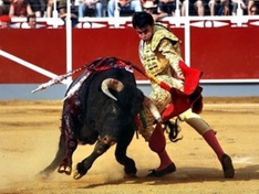 Stierkampf in Katalonien