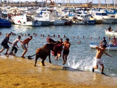 Bous a la Mar in Denia (Costa Blanca)