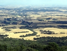 Camino Aragones in Spanien (Jakobsweg Camino de Santiago)