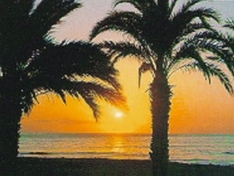 Teneriffa (Kanaren, Spanien)