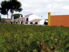 Wein und Sekt (Cava) aus Katalonien - Weinanbaugebiet Penedés