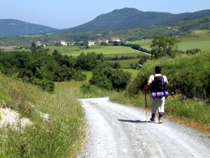 Camino Vasco del Interior : Etappen