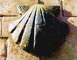 Jacobsmuschel - Symbol der Pilger am Jkobsweg