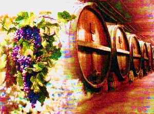 Wein und Winzer in Spanien