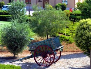 Auf Weinreise in Kastilien La Mancha